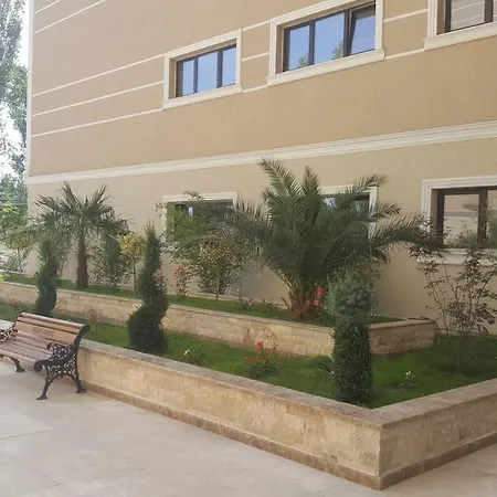 Solid 387 E7 Mamaia
