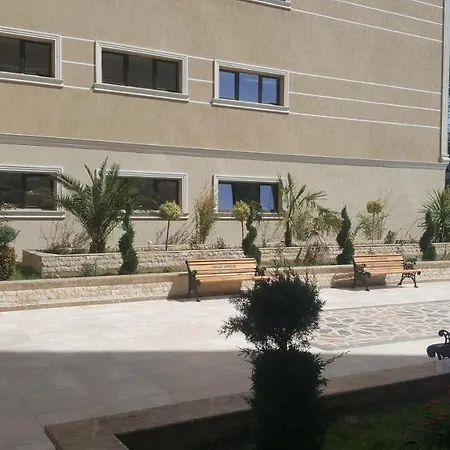 Solid 387 E7 Mamaia