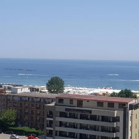 Solid 387 E7 Mamaia