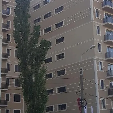 Solid 387 E7 Mamaia