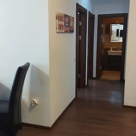 Solid 387 E7 Mamaia