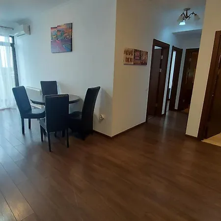 Solid 387 E7 Mamaia